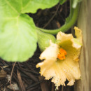 skol-diwan-kastellin__RLP1945